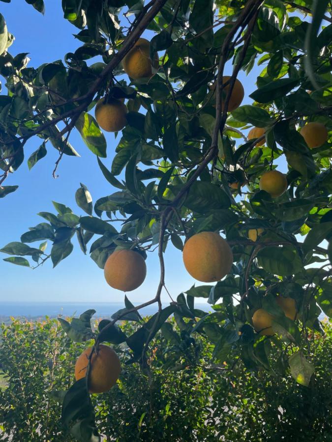Villa Profumo Di Zagara Fiumefreddo di Sicilia Exterior foto