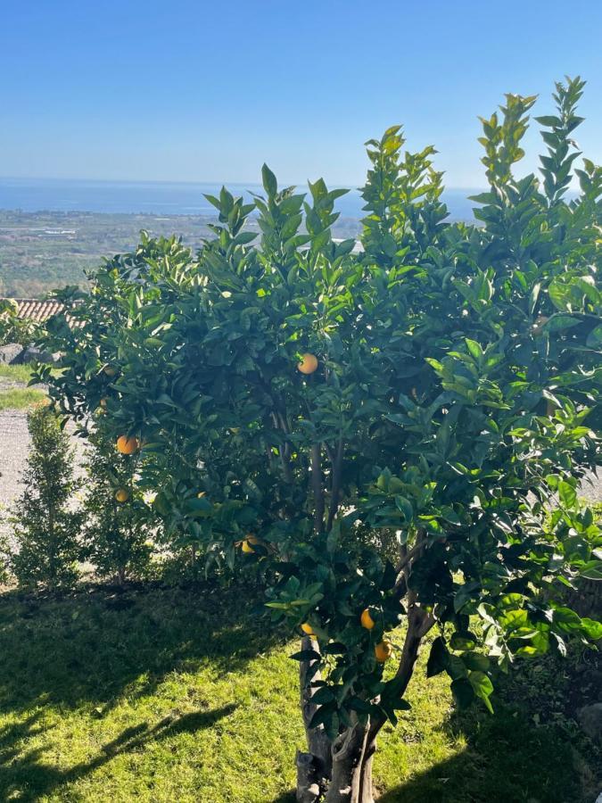Villa Profumo Di Zagara Fiumefreddo di Sicilia Exterior foto