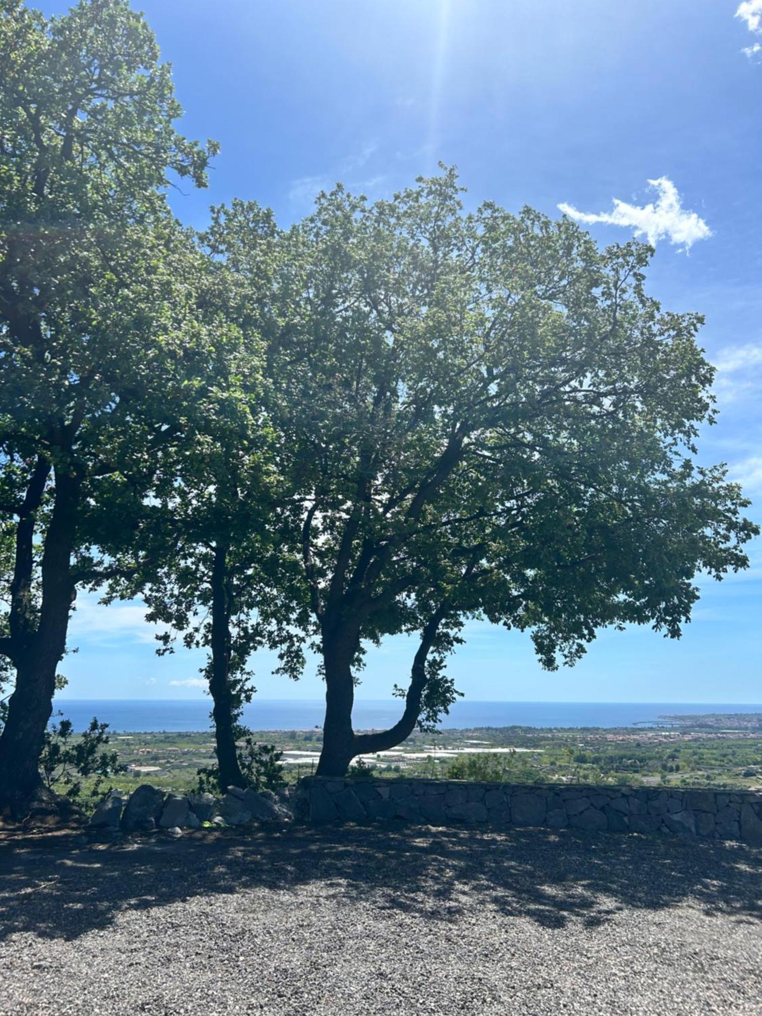 Villa Profumo Di Zagara Fiumefreddo di Sicilia Exterior foto